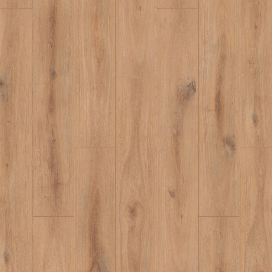 Golden Vista Oak, TO, 8 mm, Standard Plank