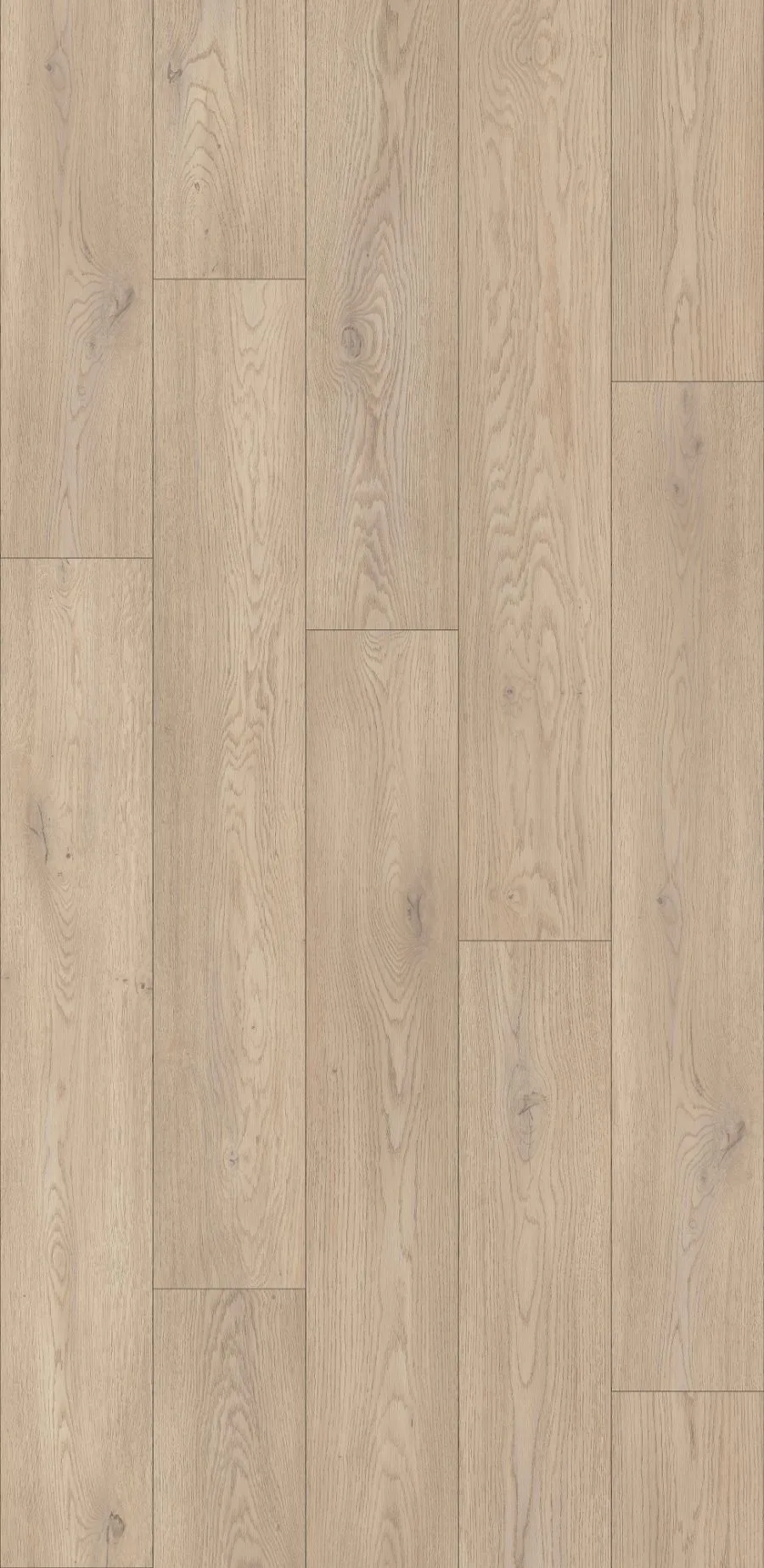 Cotta Cremona Oak, MW, 8 mm, Standard Plank