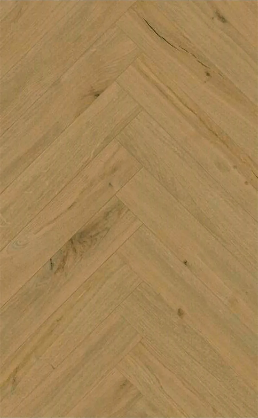 Gold Highate Oak, HT, 6 mm, Herringbone