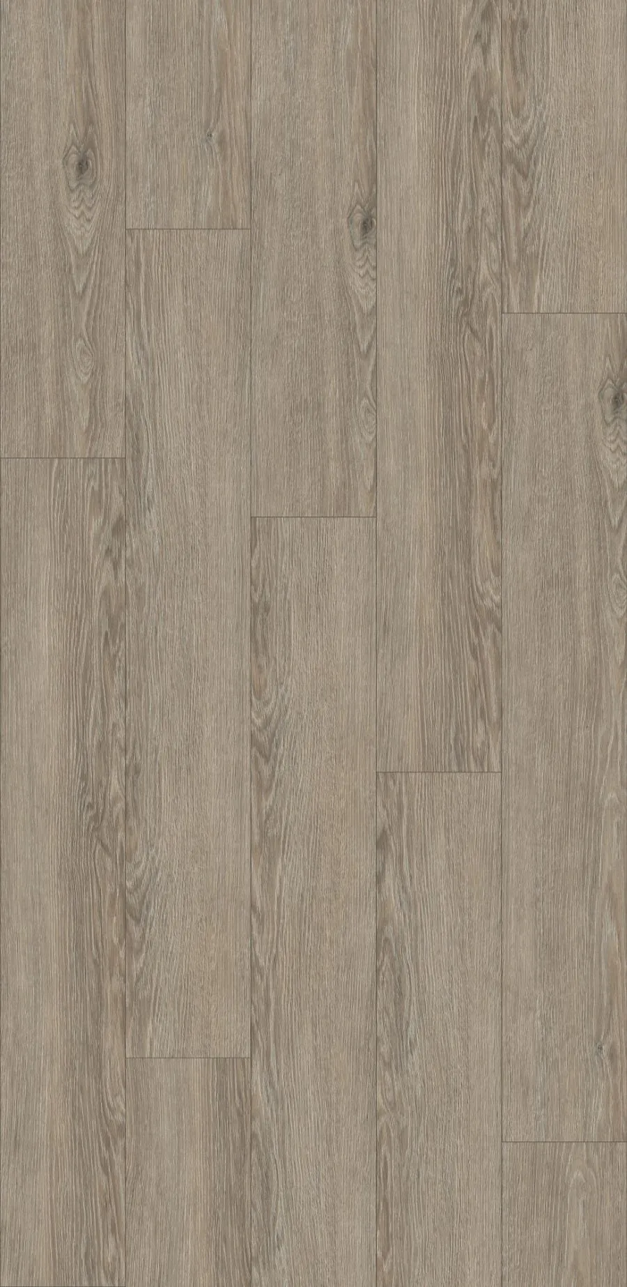 Grey Palais Oak, MW, 8 mm, Standard Plank